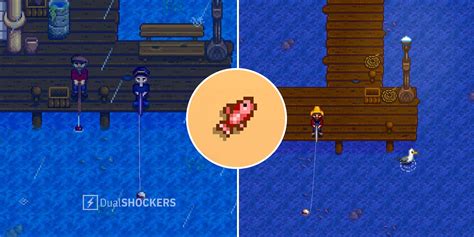 stardew valley wiki pargo colorado|Red Snapper .